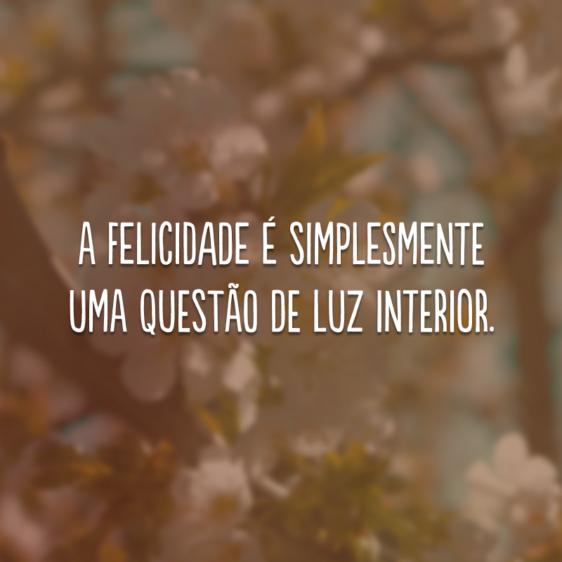 A felicidade é simplesmente uma questão de luz interior. 