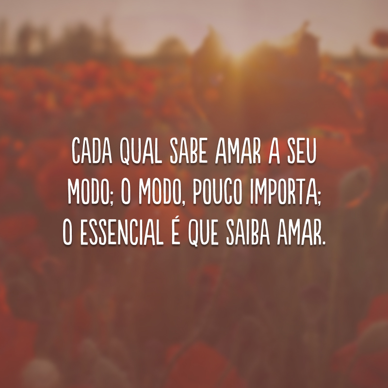 Cada qual sabe amar a seu modo; o modo, pouco importa; o essencial é que saiba amar.