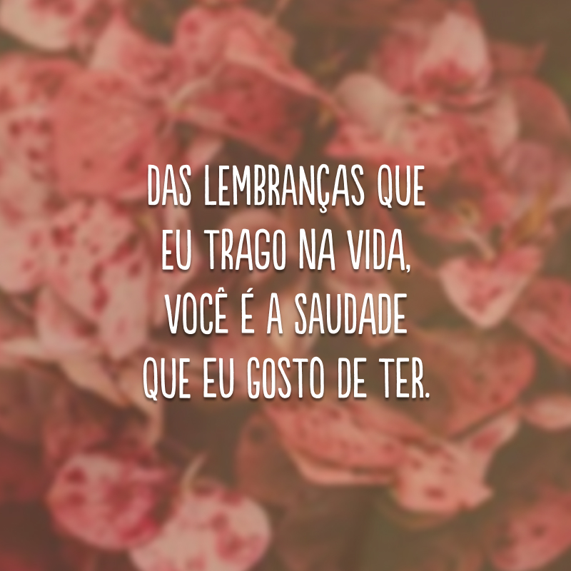 Das lembranças que eu trago na vida, você é a saudade que eu gosto de ter.