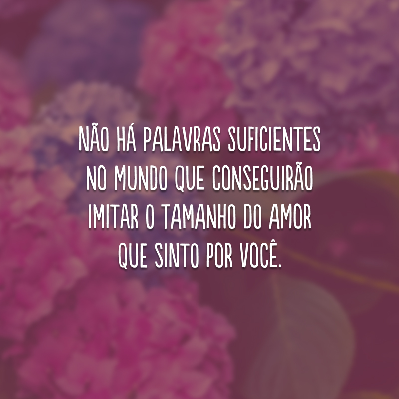 Não há palavras suficientes no mundo que conseguirão imitar o tamanho do amor que sinto por você.