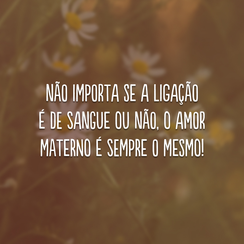 Não importa se a ligação é de sangue ou não, o amor materno é sempre o mesmo! 