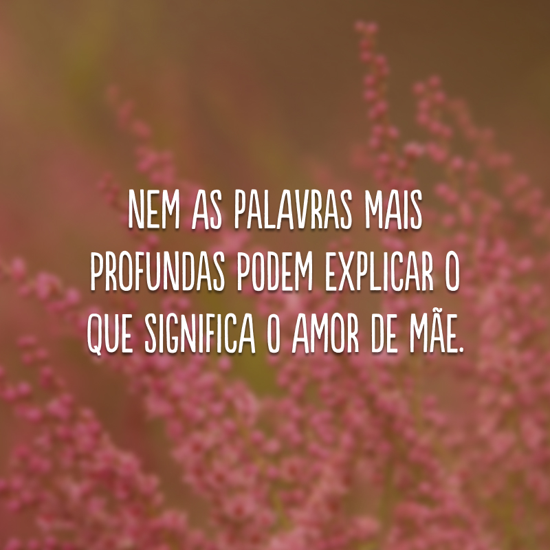 Nem as palavras mais profundas podem explicar o que significa o amor de mãe. 