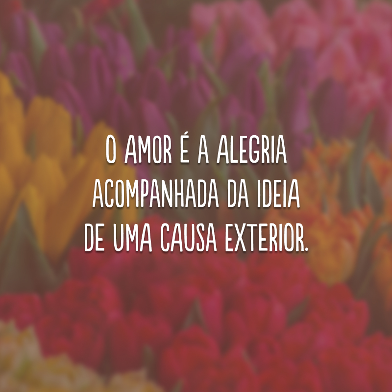 O amor é a alegria acompanhada da ideia de uma causa exterior.