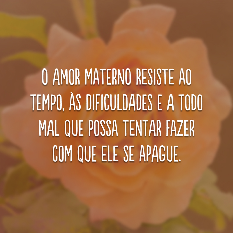 O amor materno resiste ao tempo, às dificuldades e a todo mal que possa tentar fazer com que ele se apague. 