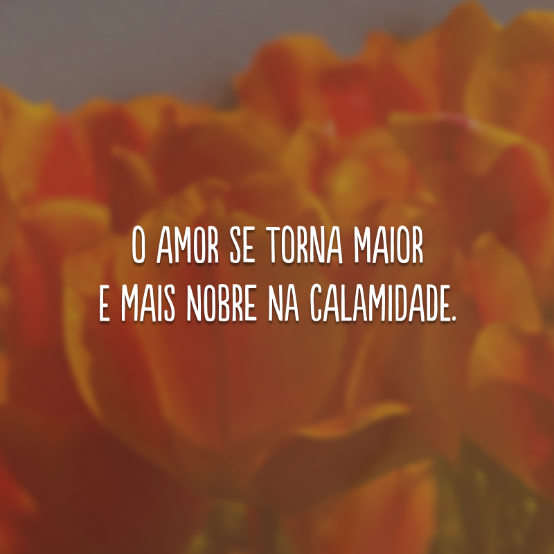 O amor se torna maior e mais nobre na calamidade. 