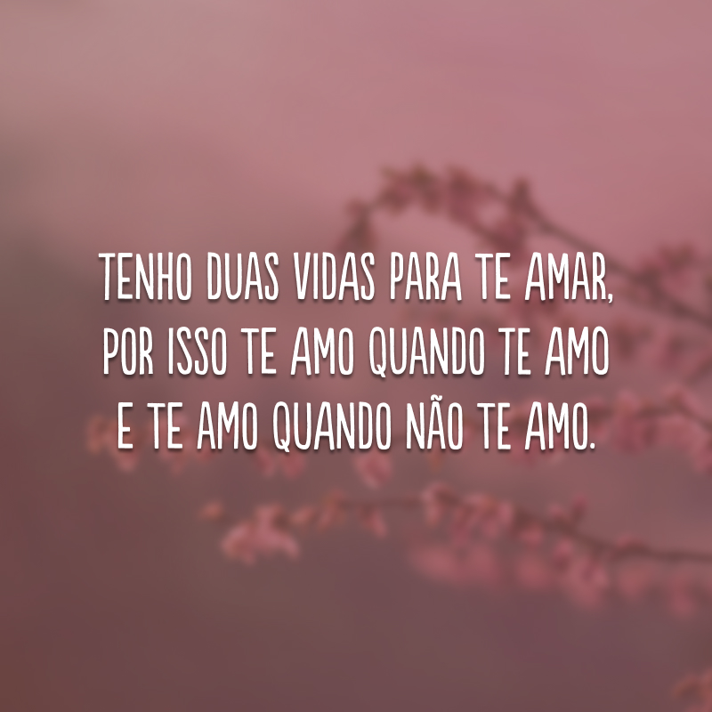 Tenho duas vidas para te amar, por isso te amo quando te amo e te amo quando não te amo.