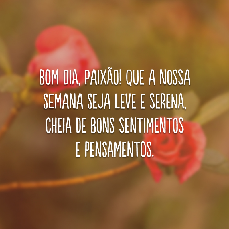 Bom dia, paixão! Que a nossa semana seja leve e serena, cheia de bons sentimentos e pensamentos.