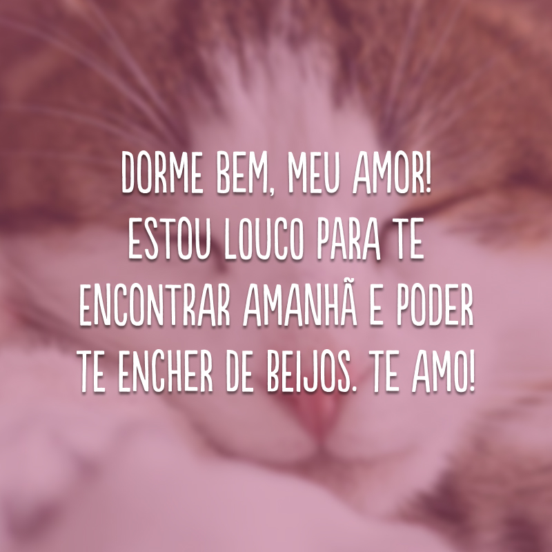 Dorme bem, meu amor! Estou louco para te encontrar amanhã e poder te encher de beijos. Te amo!