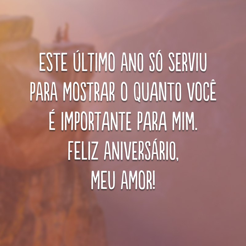 Este último ano só serviu para mostrar o quanto você é importante para mim. Feliz aniversário, meu amor!