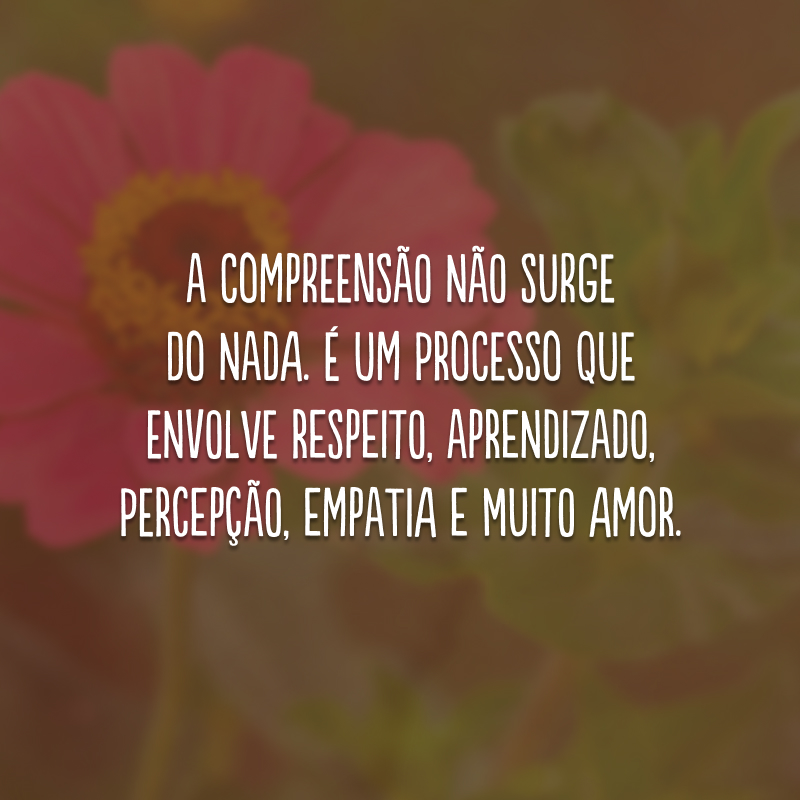 A compreensão não surge do nada. É um processo que envolve respeito, aprendizado, percepção, empatia e muito amor. 