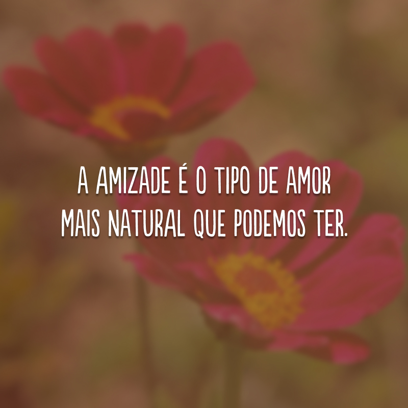 A amizade é o tipo de amor mais natural que podemos ter.