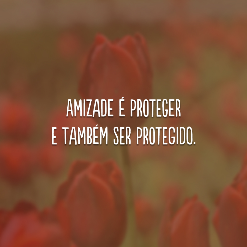 Amizade é proteger e também ser protegido.