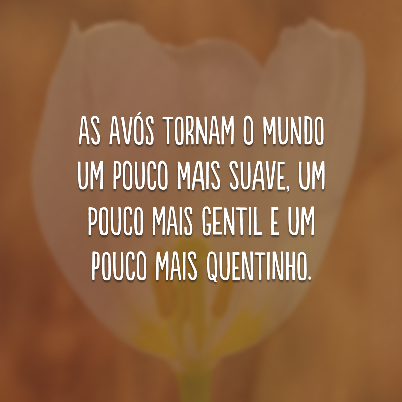 As avós tornam o mundo um pouco mais suave, um pouco mais gentil e um pouco mais quentinho.