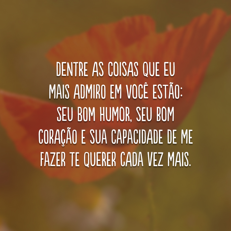 Dentre as coisas que eu mais admiro em você estão: seu bom humor, seu bom coração e sua capacidade de me fazer te querer cada vez mais.