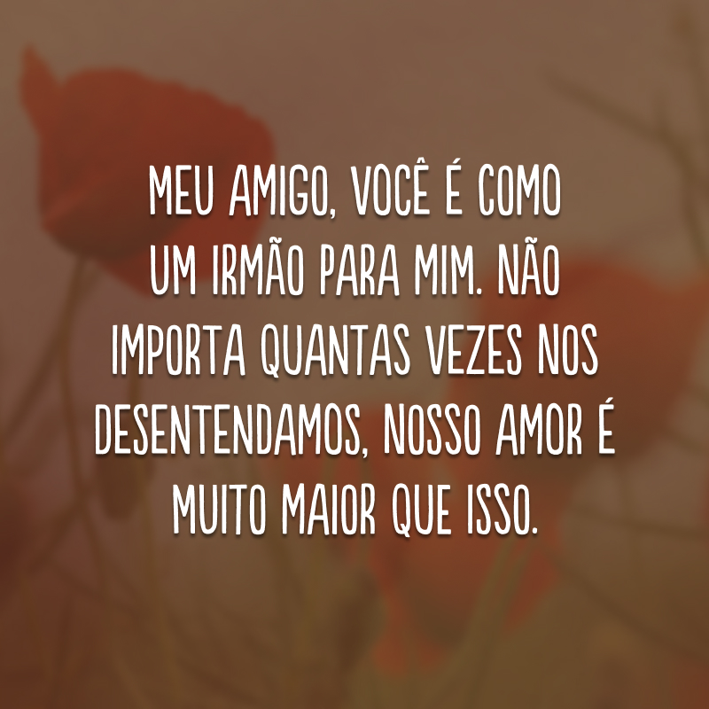 Meu amigo, você é como um irmão para mim. Não importa quantas vezes nos desentendamos, nosso amor é muito maior que isso. 