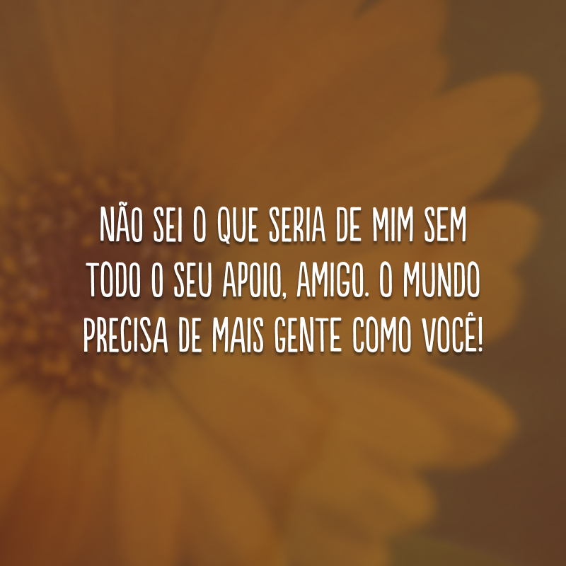 Não sei o que seria de mim sem todo o seu apoio, amigo. O mundo precisa de mais gente como você!