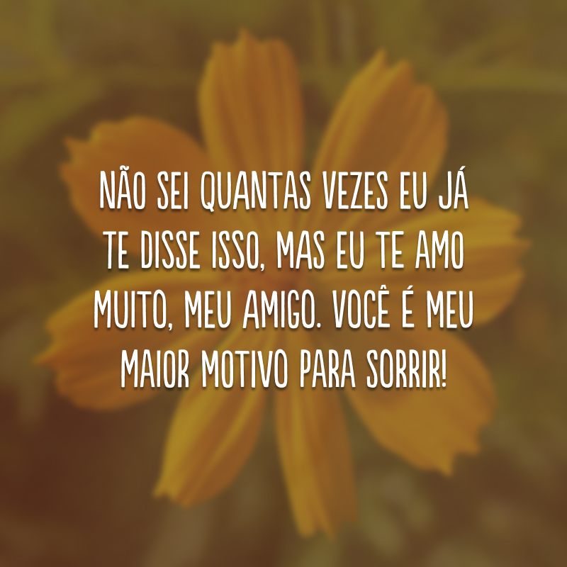 Não sei quantas vezes eu já te disse isso, mas eu te amo muito, meu amigo. Você é meu maior motivo para sorrir!