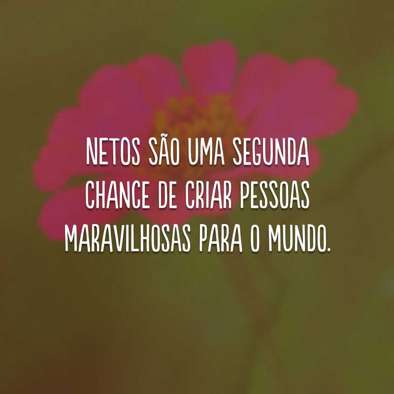 Netos são uma segunda chance de criar pessoas maravilhosas para o mundo.