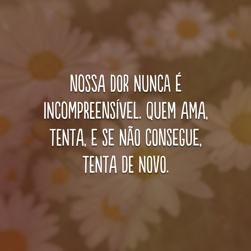 Nossa dor nunca é incompreensível. Quem ama, tenta, e se não consegue, tenta de novo. 