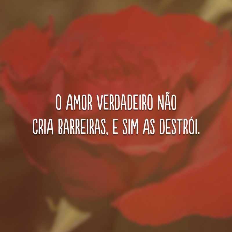 O amor verdadeiro não cria barreiras, e sim as destrói. 