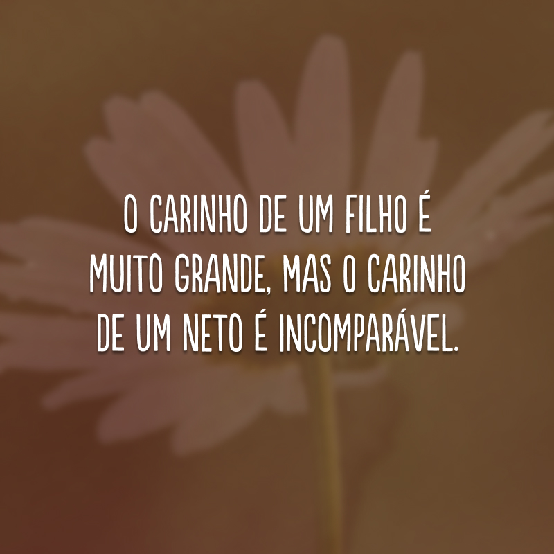 O carinho de um filho é muito grande, mas o carinho de um neto é incomparável.