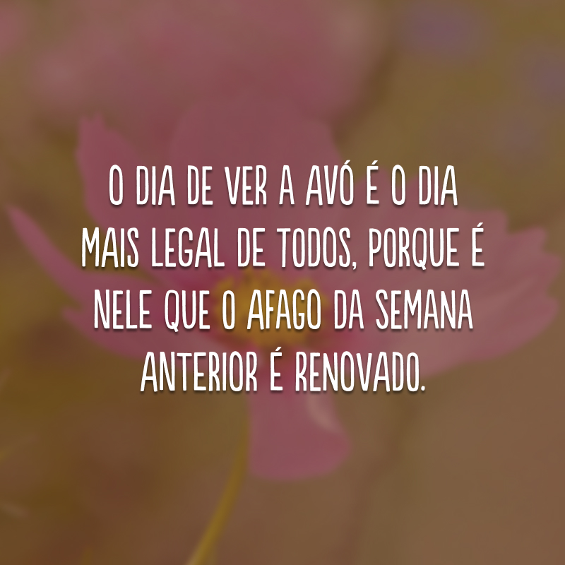 O dia de ver a avó é o dia mais legal de todos, porque é nele que o afago da semana anterior é renovado. 