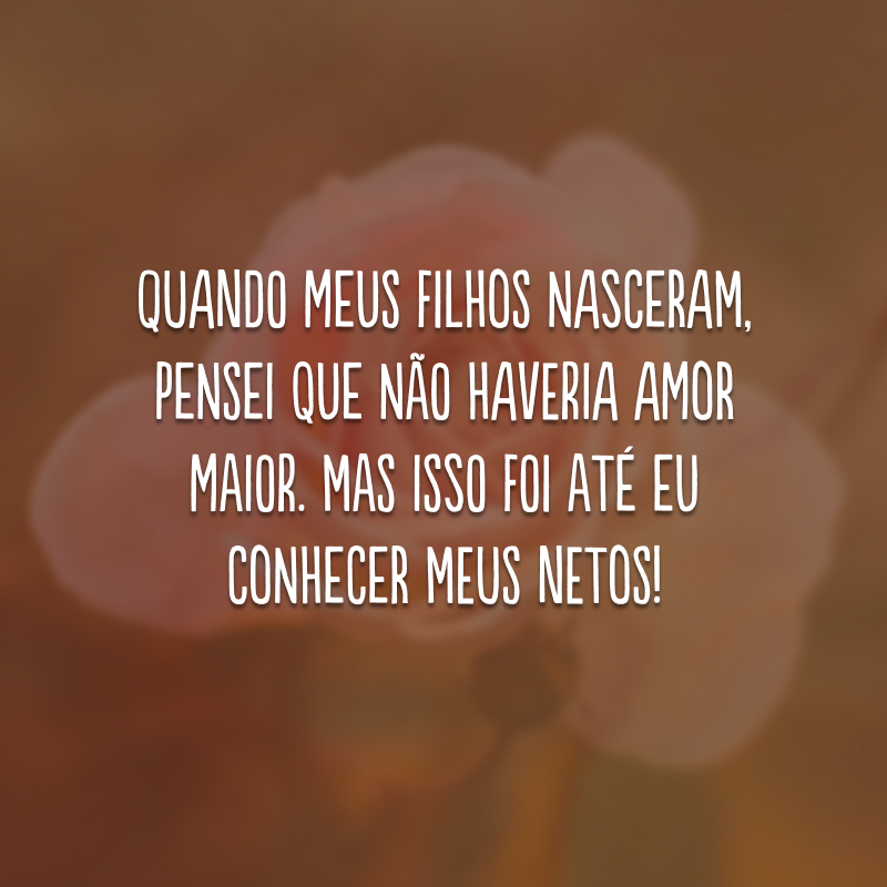 Quando meus filhos nasceram, pensei que não haveria amor maior. Mas isso foi até eu conhecer meus netos!