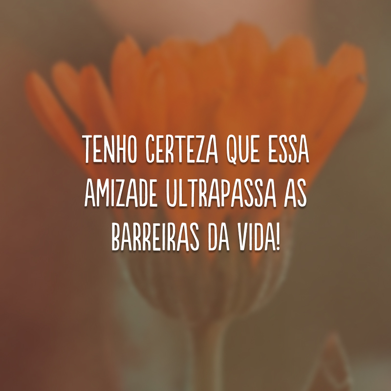 Tenho certeza que essa amizade ultrapassa as barreiras da vida! 