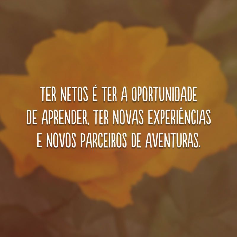 Ter netos é ter a oportunidade de aprender, ter novas experiências e novos parceiros de aventuras. 