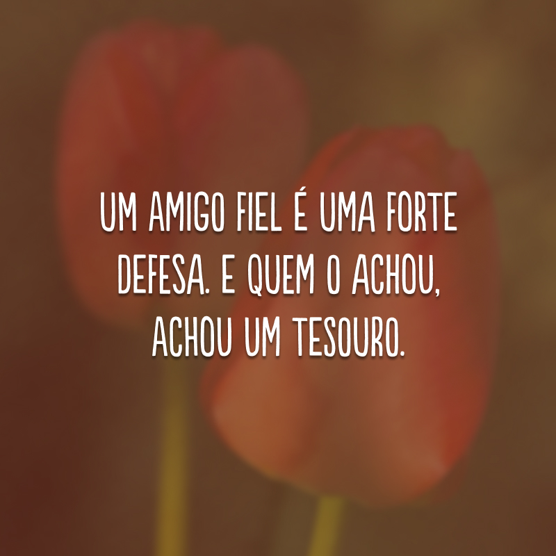 Um amigo fiel é uma forte defesa. E quem o achou, achou um tesouro.