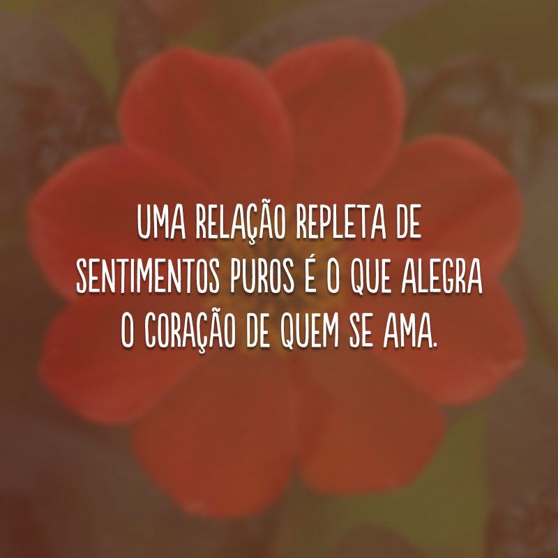 Uma relação repleta de sentimentos puros é o que alegra o coração de quem se ama.