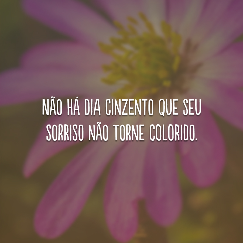 Não há dia cinzento que seu sorriso não torne colorido.