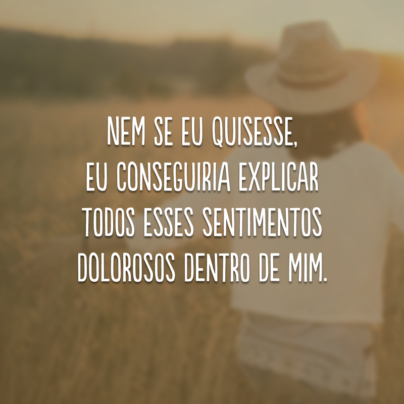 Nem se eu quisesse, eu conseguiria explicar todos esses sentimentos dolorosos dentro de mim.