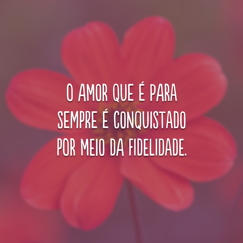 O amor que é para sempre é conquistado por meio da fidelidade. 
