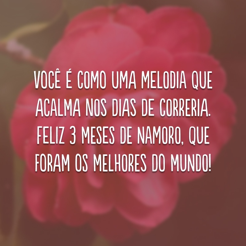 Você é como uma melodia que acalma nos dias de correria. Feliz 3 meses de namoro, que foram os melhores do mundo!
