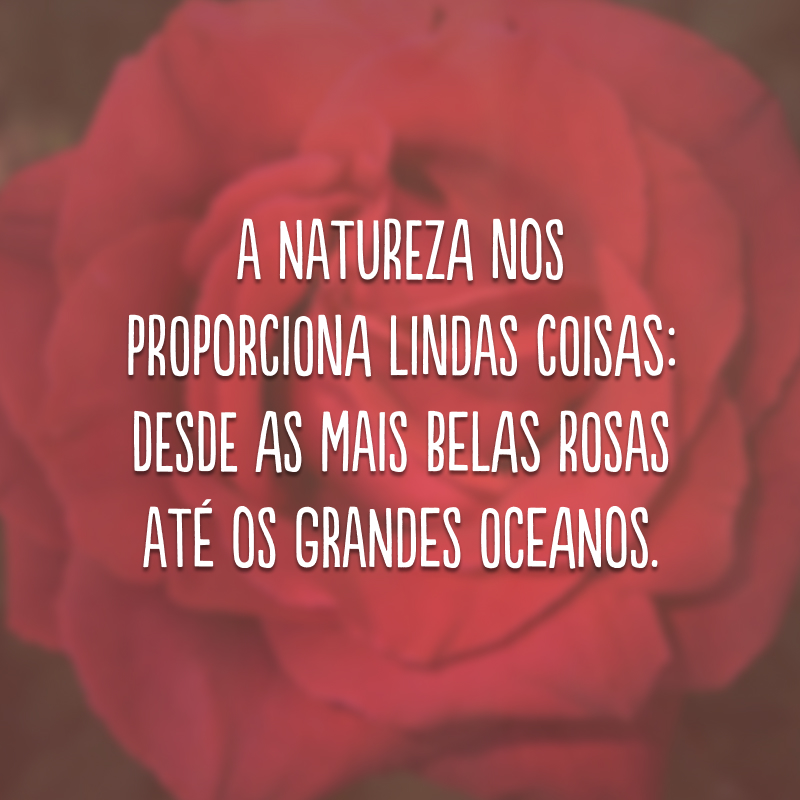 A natureza nos proporciona lindas coisas: desde as mais belas rosas até os grandes oceanos.
