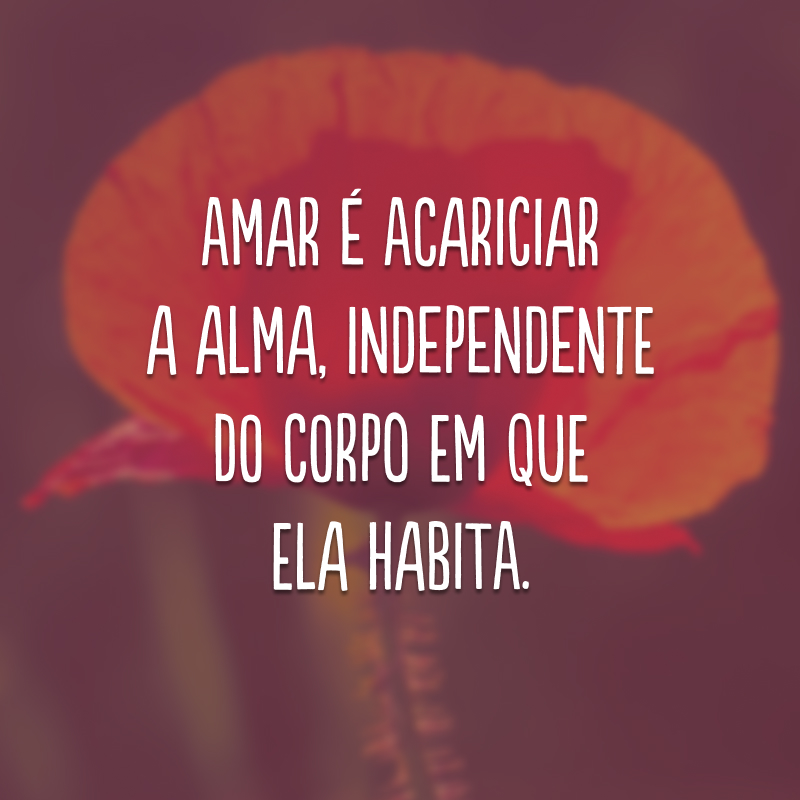 Amar é acariciar a alma, independente do corpo em que ela habita.
