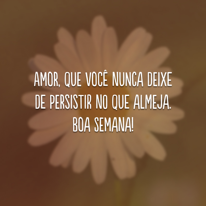 Amor, que você nunca deixe de persistir no que almeja. Boa semana!
