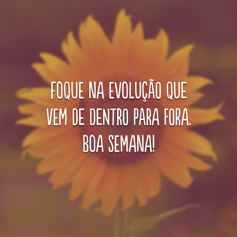 Foque na evolução que vem de dentro para fora. Boa semana!
