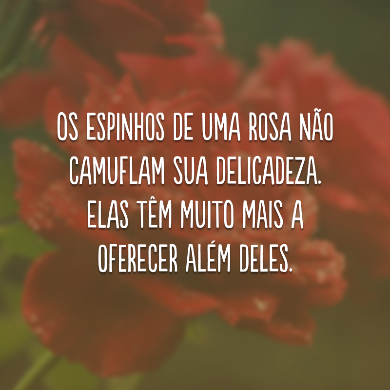 Os espinhos de uma rosa não camuflam sua delicadeza. Elas têm muito mais a oferecer além deles.
