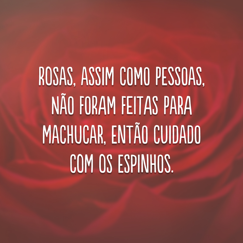 Rosas, assim como pessoas, não foram feitas para machucar, então cuidado com os espinhos.
