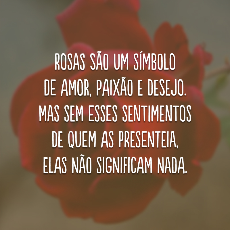 Rosas são um símbolo de amor, paixão e desejo. Mas sem esses sentimentos de quem as presenteia, elas não significam nada. 