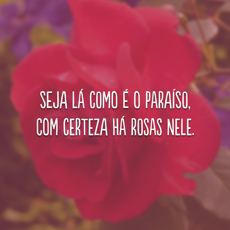 Seja lá como é o paraíso, com certeza há rosas nele.
