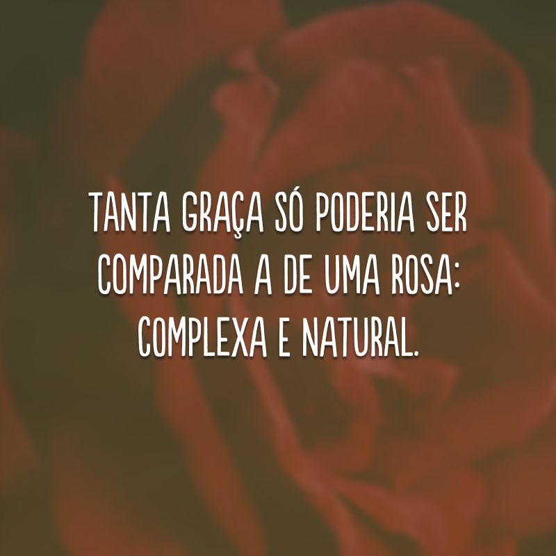 Tanta graça só poderia ser comparada a de uma rosa: complexa e natural.
