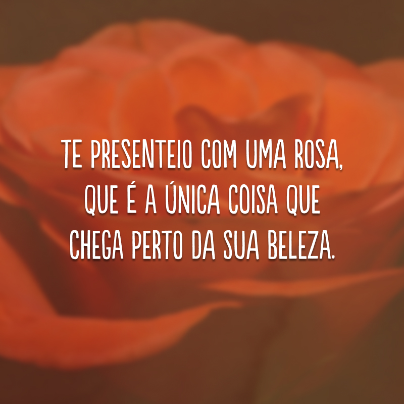 Te presenteio com uma rosa, que é a única coisa que chega perto da sua beleza. 
