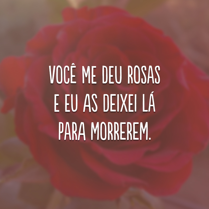 Você me deu rosas e eu as deixei lá para morrerem.