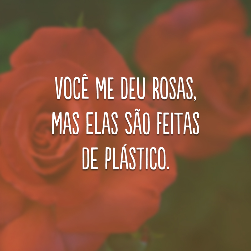 Você me deu rosas, mas elas são feitas de plástico.