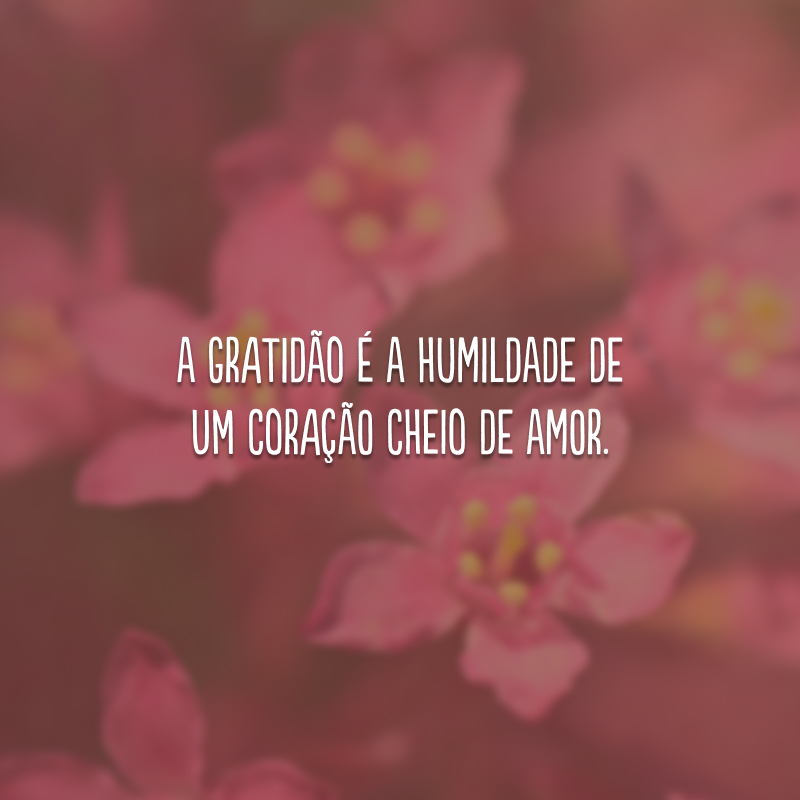 A gratidão é a humildade de um coração cheio de amor.
