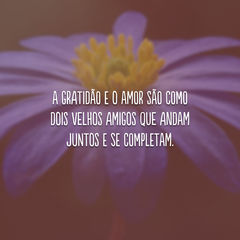 A gratidão e o amor são como dois velhos amigos que andam juntos e se completam. 
