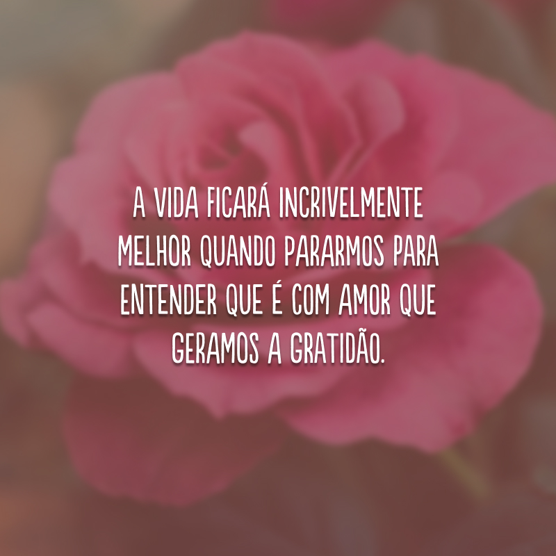 A vida ficará incrivelmente melhor quando pararmos para entender que é com amor que geramos a gratidão.
